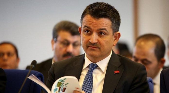 Bakan Pakdemirli: 2 bin 153 atama yapılacak