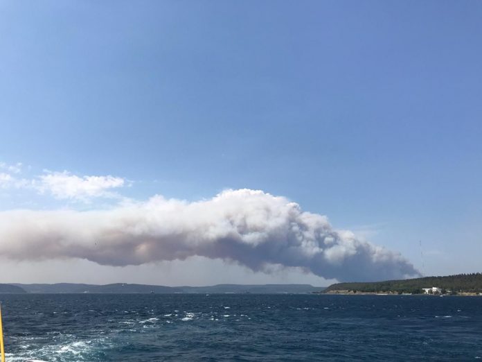 gelibolu-yangin-orman