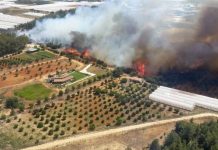 Antalya’da yangına havadan ve karadan müdahale