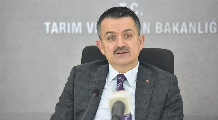 bekir paldemirli