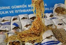 Kapıkule’de 2 milyon TL değerinde kaçak eşya ele geçirildi