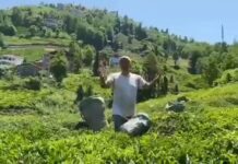 52 Yaşındaki Çay Üreticisi Selçuk Bayraktar'a Seslendi