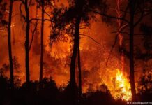 Fethiye ve Bodrum Alev Alev Yanıyor!