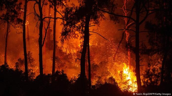 Fethiye ve Bodrum Alev Alev Yanıyor! Fethiye ve Bodrum Alev Alev Yanıyor!
