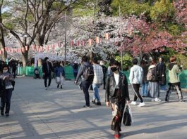 Japonya Sınırlarını 2 Yıl Sonra Turistlere Açtı!