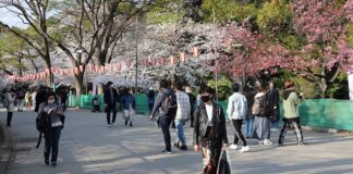 Japonya Sınırlarını 2 Yıl Sonra Turistlere Açtı!