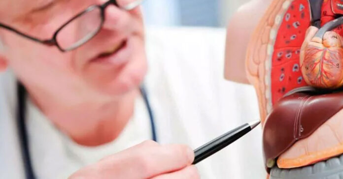 Karaciğer Kanserine Dikkat! Uzmanlar Uyarıyor!