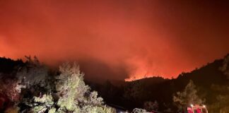 Marmaris'teki Orman Yangını Büyüyor! Bölge Tahliye Edildi...