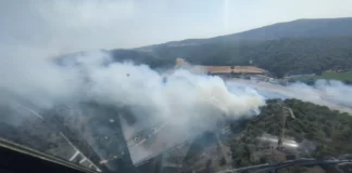 Çanakkale'deki orman yangını kontrol altına alındı!