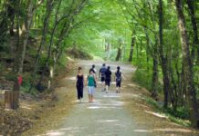 İstanbul Valiliği Duyurdu! Ormanlara Yasak Getirildi!