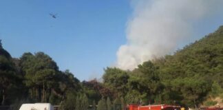 Marmaris'teki orman yangını kontrol altına alındı!