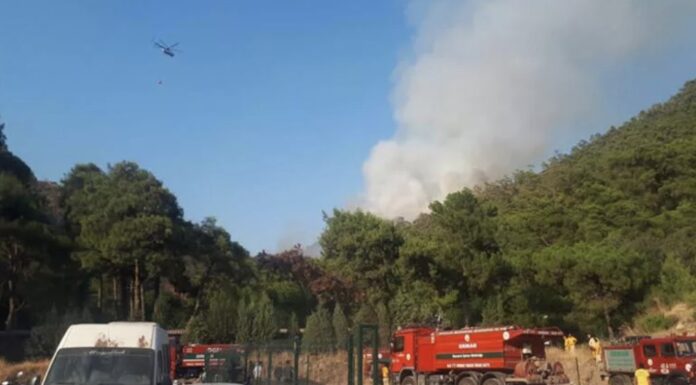 Marmaris'teki orman yangını kontrol altına alındı!