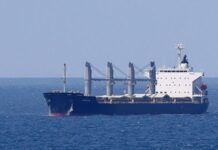 33 ton mısır yüklü 'NAVISTAR' gemisi İstanbul'da