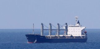 33 ton mısır yüklü 'NAVISTAR' gemisi İstanbul'da