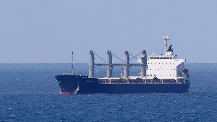 33 ton mısır yüklü 'NAVISTAR' gemisi İstanbul'da