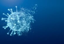 Çin’de yeni virüs alarmı: Langya Çin’de yeni virüs alarmı: Langya