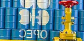 OPEC+ üyeleri bir araya geliyor!