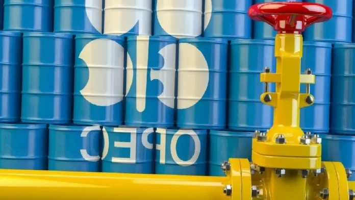 OPEC+ üyeleri bir araya geliyor!
