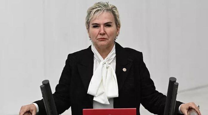 Nimet Özdemir İYİ Parti’den istifa etti: ‘Gönül bağımı kopardığım için…’