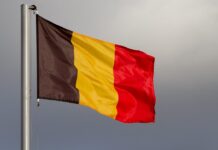 Belçika’da 9 Haziran’daki seçimin ardından hükümeti kurma çalışmaları sürüyor