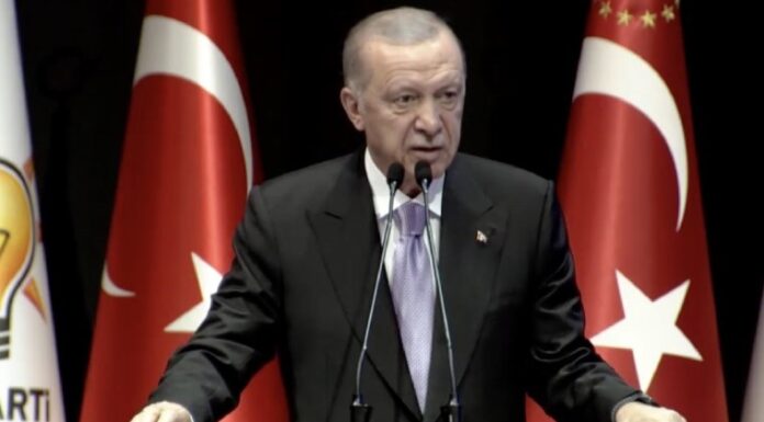 Erdoğan, Narin cinayeti hakkında konuştu: Basın ve sosyal medyayı hedef aldı