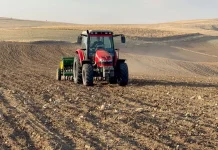 Tarım ÜFE’de güçlü yükseliş: Son 7 ayın en yüksek seviyesi