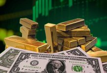 Euro, dolar, atlın, borsa... Haftanın en çok kazandıran yatırım aracı belli oldu